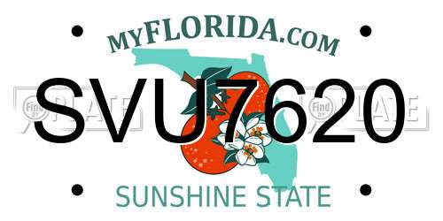 SVU7620 Florida License Plate