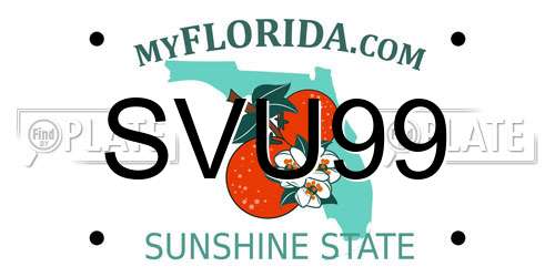 SVU99 Florida License Plate
