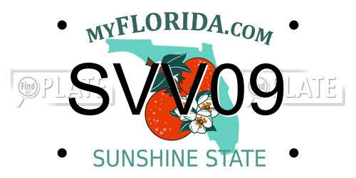 SVV09 Florida License Plate