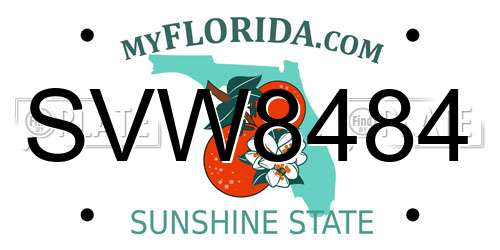 SVW8484 Florida License Plate