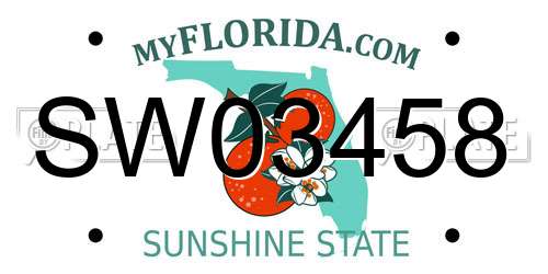 SW03458 Florida License Plate