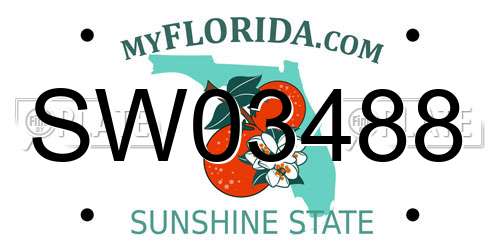 SW03488 Florida License Plate