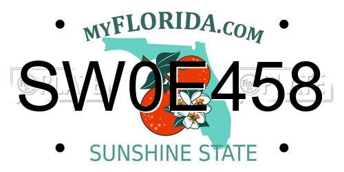 SW0E458 Florida License Plate