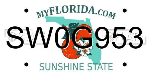 SW0G953 Florida License Plate