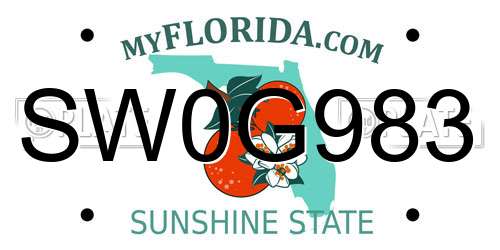 SW0G983 Florida License Plate