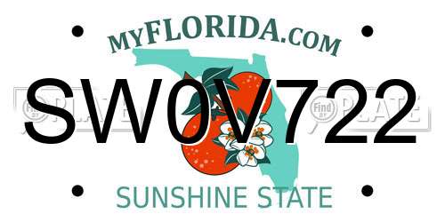 SW0V722 Florida License Plate