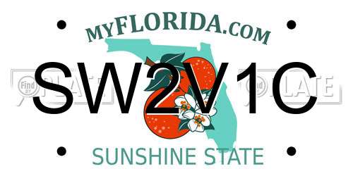SW2V1C Florida License Plate