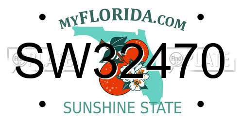 SW32470 Florida License Plate