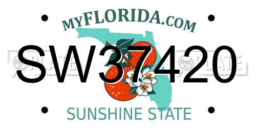 SW37420 Florida License Plate
