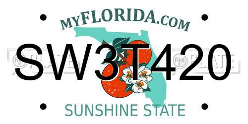 SW3T420 Florida License Plate