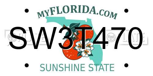 SW3T470 Florida License Plate