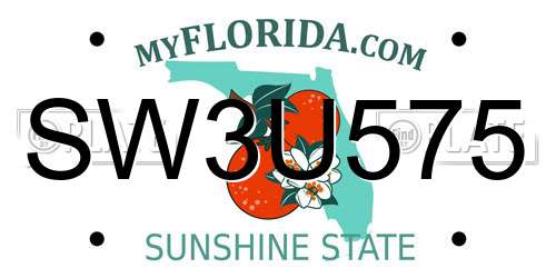 SW3U575 Florida License Plate