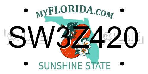 SW3Z420 Florida License Plate