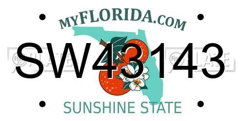 SW43143 Florida License Plate