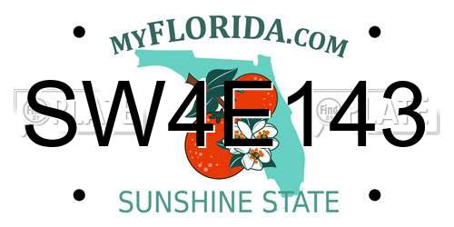 SW4E143 Florida License Plate