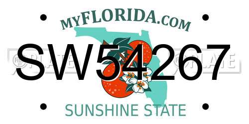 SW54267 Florida License Plate