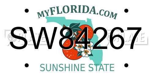 SW84267 Florida License Plate
