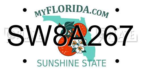 SW8A267 Florida License Plate