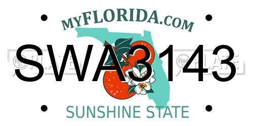 SWA3143 Florida License Plate