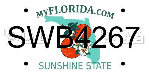 SWB4267 Florida License Plate