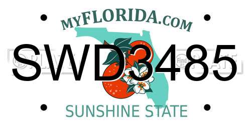 SWD3485 Florida License Plate