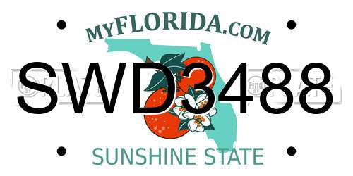 SWD3488 Florida License Plate
