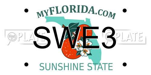 SWE3 Florida License Plate