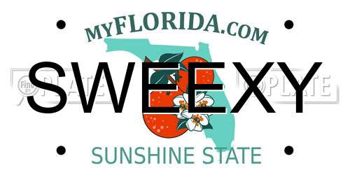 SWEEXY Florida License Plate