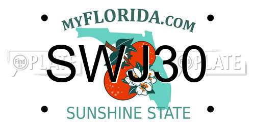 SWJ30 Florida License Plate