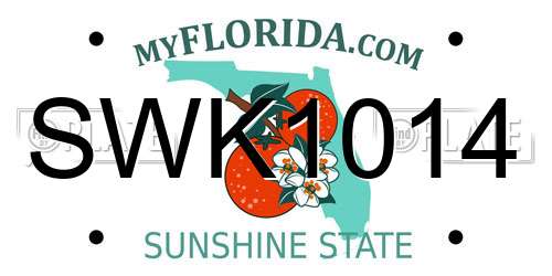 SWK1014 Florida License Plate