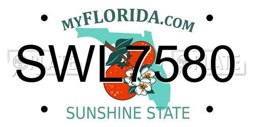 SWL7580 Florida License Plate