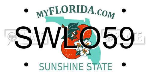 SWLO59 Florida License Plate