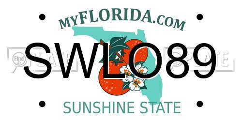 SWLO89 Florida License Plate