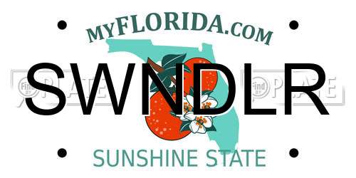 SWNDLR Florida License Plate