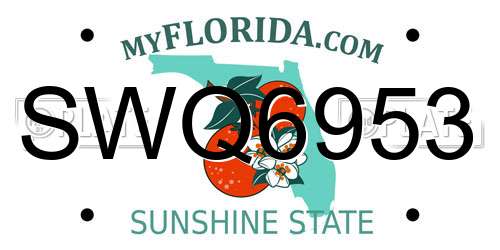 SWQ6953 Florida License Plate
