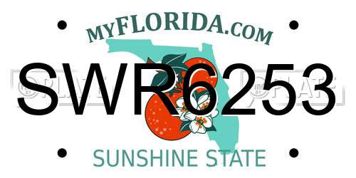 SWR6253 Florida License Plate