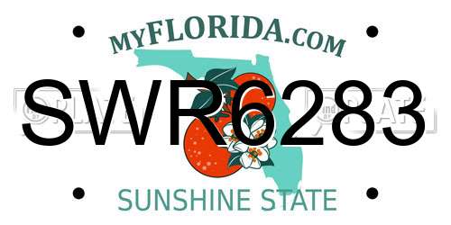 SWR6283 Florida License Plate