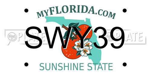 SWY39 Florida License Plate
