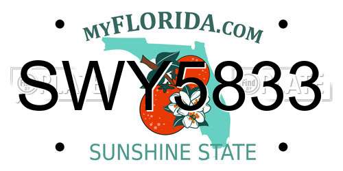 SWY5833 Florida License Plate