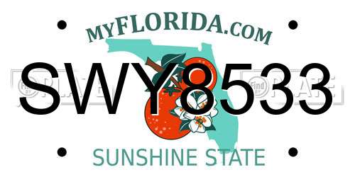 SWY8533 Florida License Plate