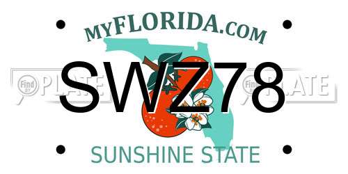 SWZ78 Florida License Plate