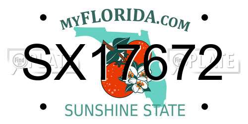 SX17672 Florida License Plate