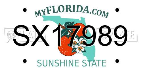 SX17989 Florida License Plate