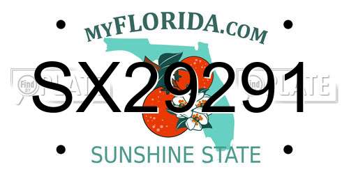 SX29291 Florida License Plate