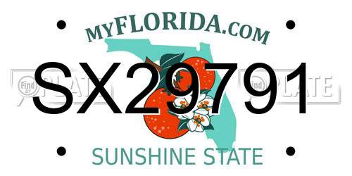 SX29791 Florida License Plate