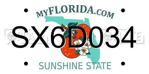 SX6D034 Florida License Plate