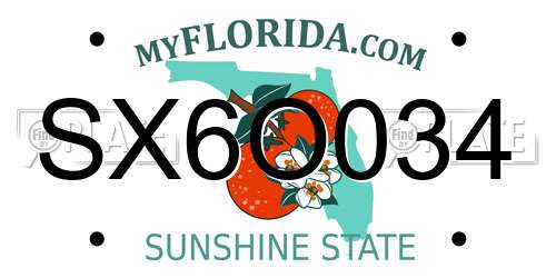 SX6O034 Florida License Plate