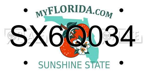 SX6Q034 Florida License Plate