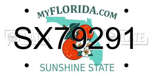 SX79291 Florida License Plate