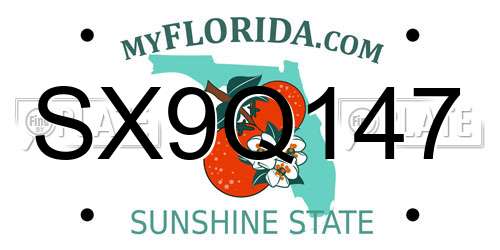 SX9Q147 Florida License Plate